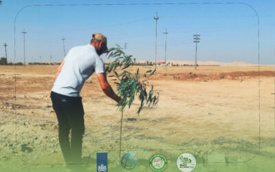 تنفيذ المبادرات